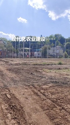 鼎尚銘 專(zhuān)注網(wǎng)絡(luò)技術(shù)開(kāi)發(fā)，賦能數(shù)字化未來(lái)